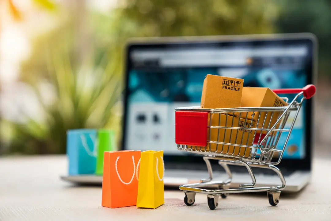 Ecommerce Websites