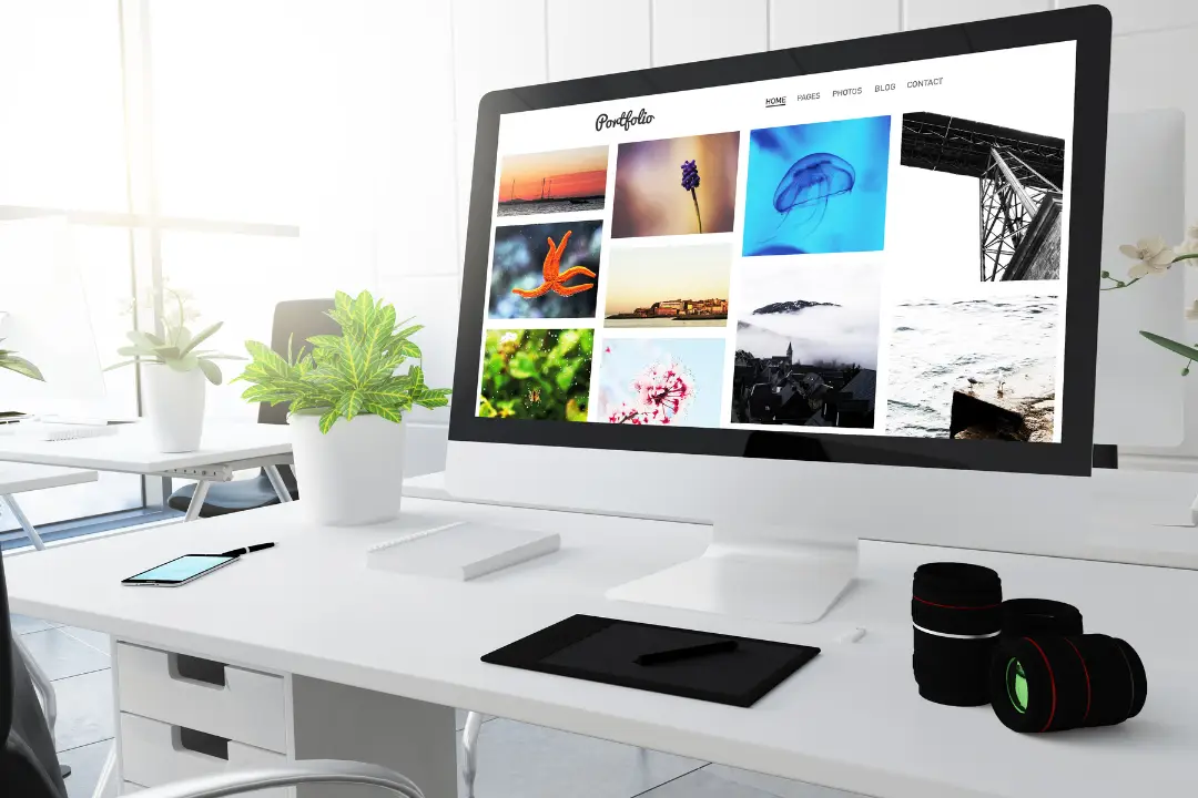 Portfolio Websites